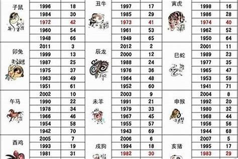 2000年 生肖|2000 年出生属什么生肖